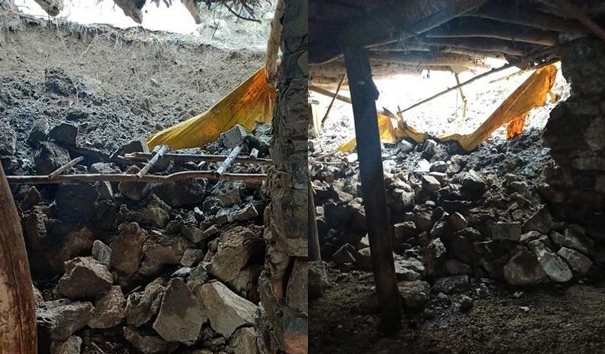 Hakkari’de yağış nedeniyle ahır çöktü