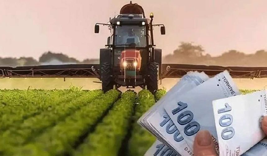 Yüksekovalı Çiftçiler Dikkat! Destek Ödemeleri Hesaplara Yatırılıyor
