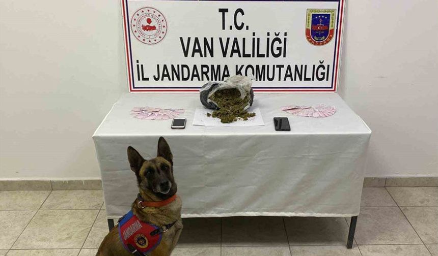 Van’da 1 kilo 64 gram skunk maddesi ele geçirildi