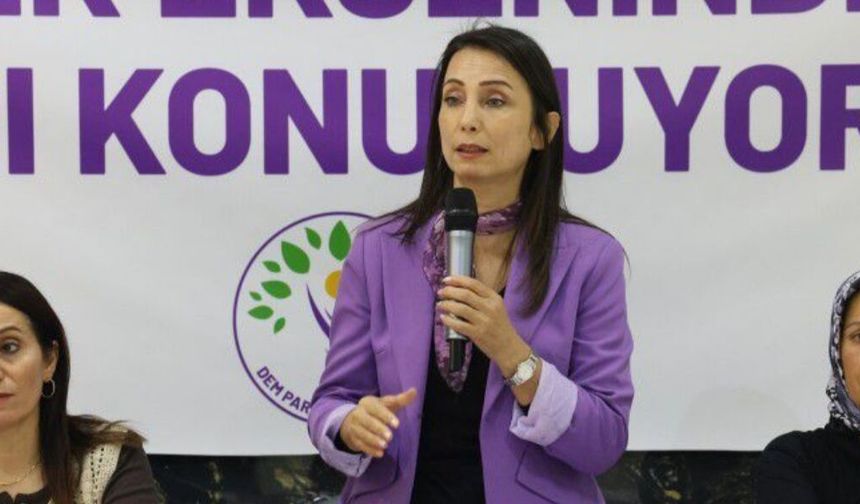 DEM Parti Eş Genel Başkanı Hatimoğulları Yüksekova’ya geliyor