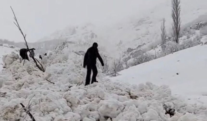 Yeşiltaş köyüne ikinci kez çığ düştü: 4 ev tahliye edildi