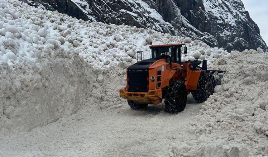 Yüksekova -Dağlıca kara yoluna çığ düştü