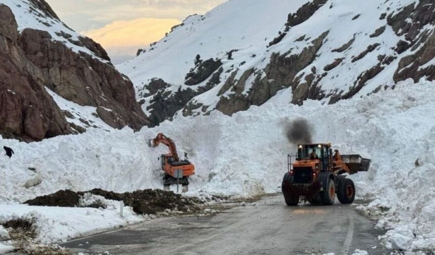 Van-Hakkari yolu yeniden ulaşıma açıldı