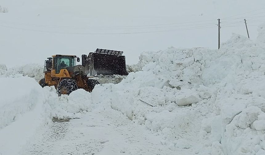 Hakkari’de 74 Yerleşim Yerinin Yolu Kapandı
