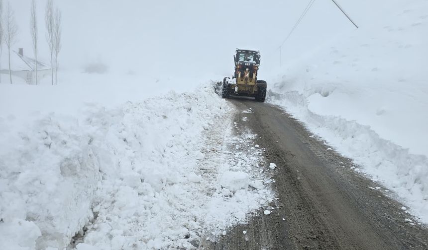Hakkari’de Kar Yağışı Ulaşımı Olumsuz Etkiledi