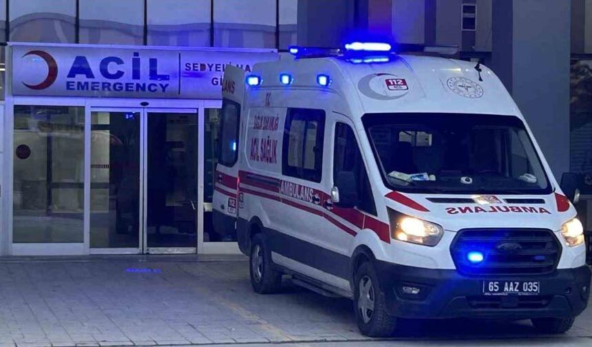 Van'da köpeklerin saldırdığı çocuk hayatını kaybetti