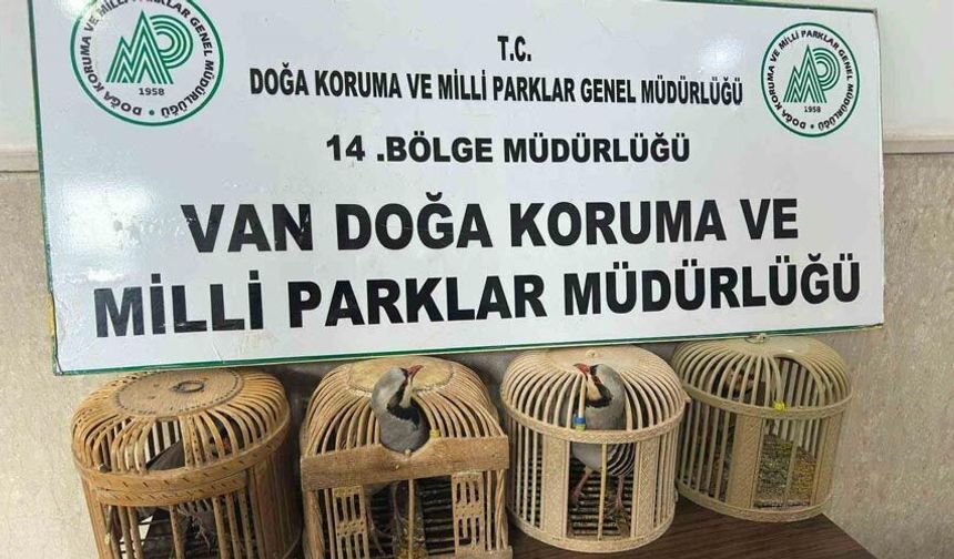 Van’da keklik avlayan şahsa 86 bin 278 lira para cezası