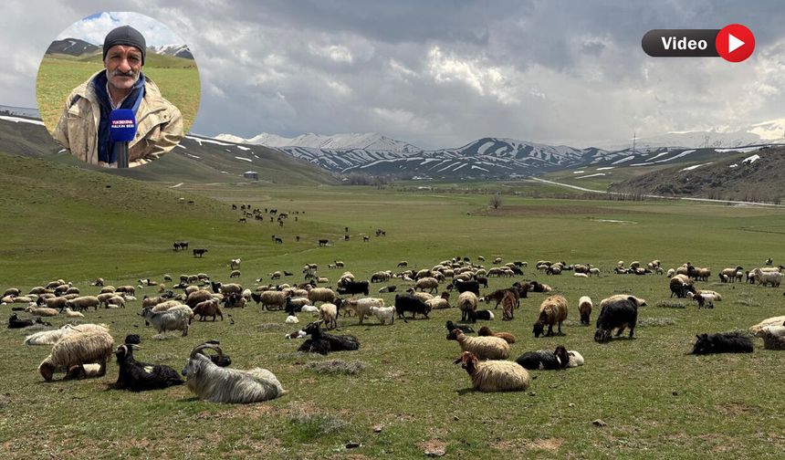 Çoban Ömer’in geçim mücadelesi: “Tek isteğim çocuklarımın okuması”