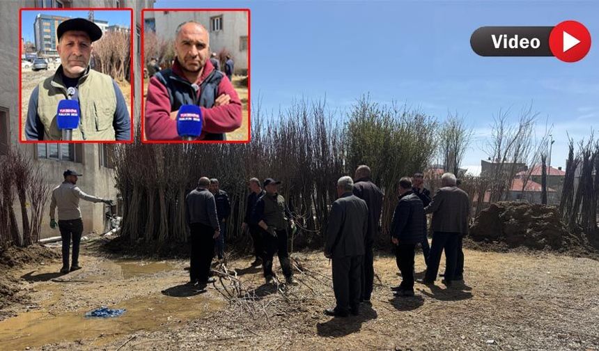 Yüksekovalı Çatuk, 30 yıldır geçimini meyve fidanı satarak sağlıyor