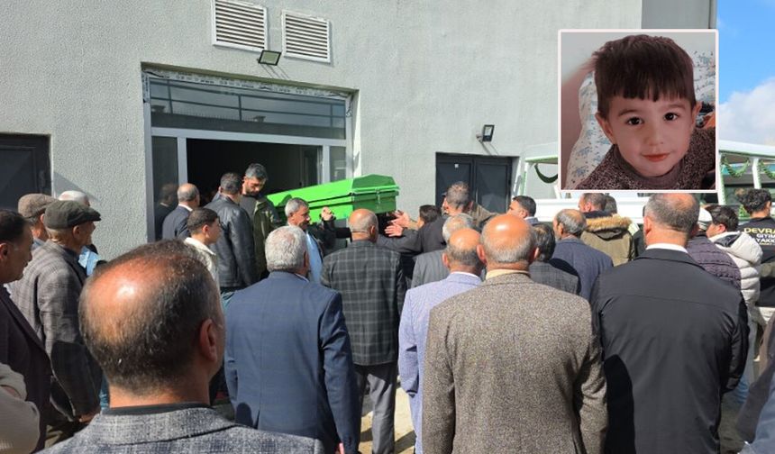 Van’daki köpek saldırısında kan donduran detaylar