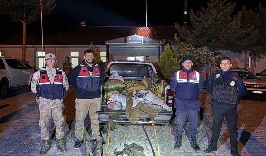 Muradiye’de 630 kilo inci kefali ele geçirildi