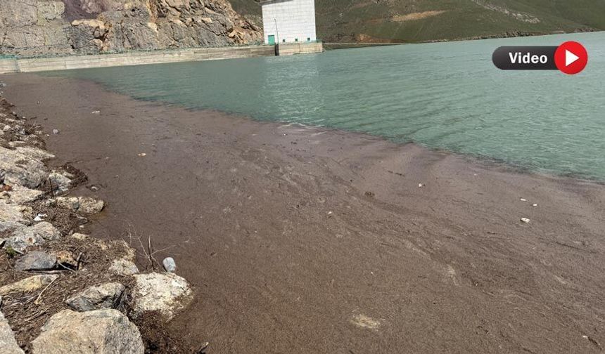 Yüksekova’da Dilimli Barajı’ndaki Kirlilik Endişe Yarattı