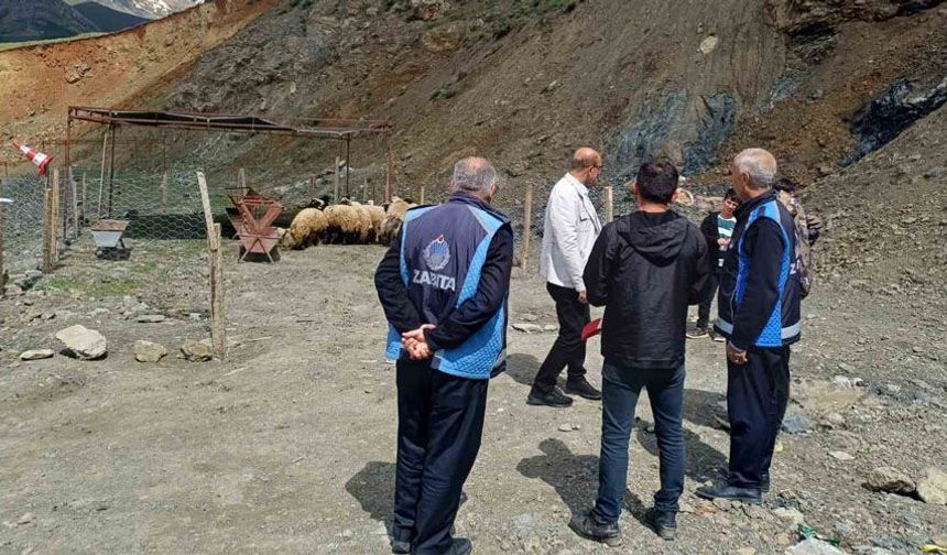 Hakkari’de Kurban pazarı hareketlendi
