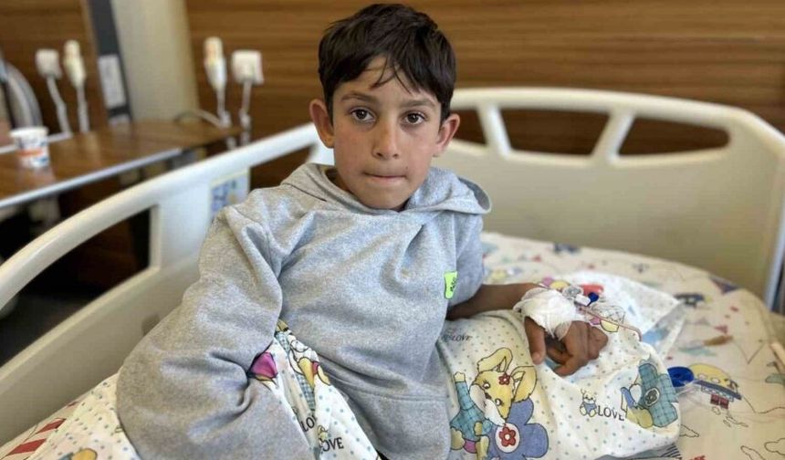 Van’da bir hafta arayla 3’üncü köpek saldırısı: 11 yaşındaki çocuk yaralandı