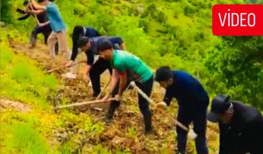 Şemdinli’de Bağ Kazma Sezonu Başladı