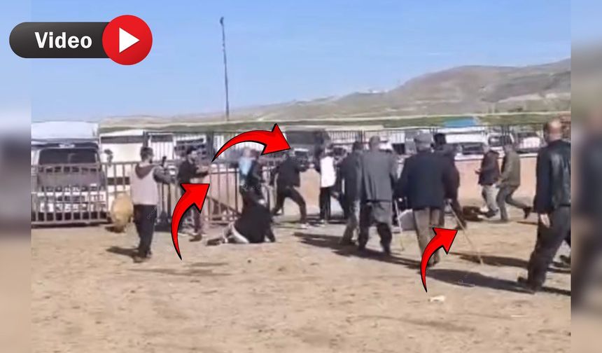 Van’da 1 Kişinin Ölümü ile  Sonuçlanan Kavganın Görüntüleri Ortaya Çıktı