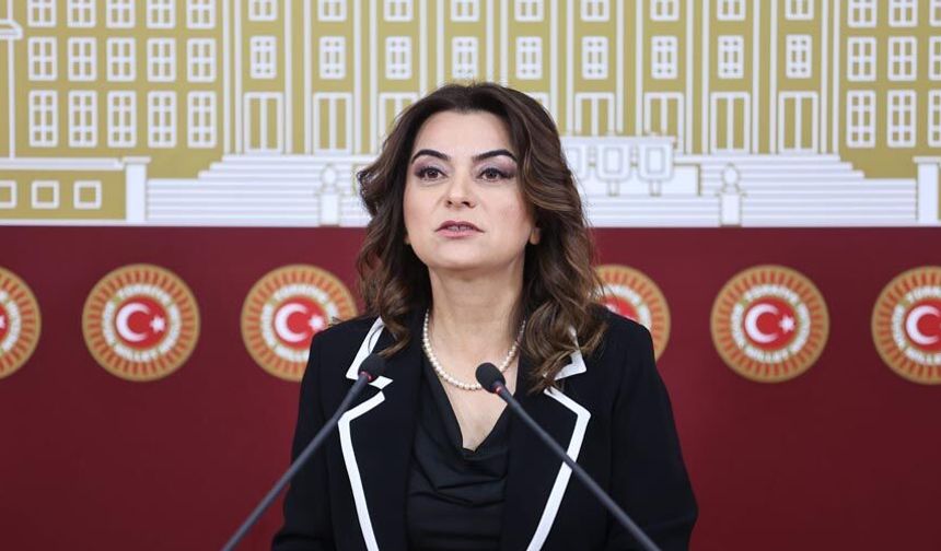 Gülistan Kılıç Koçyiğit: Barışın hukuka ihtiyacı var