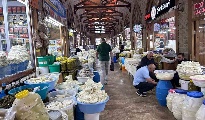 Van otlu peynirinde tuz oranı dengeleniyor