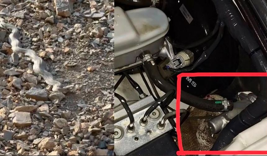 Hakkari’de İşçileri Taşıyan Aracın Motoruna Yılan Girdi