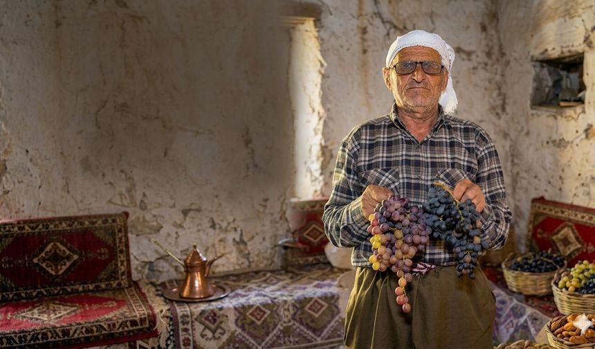 Şemdinli Üzümü İçin Coğrafi İşaret Tescil Süreci Başlatıldı
