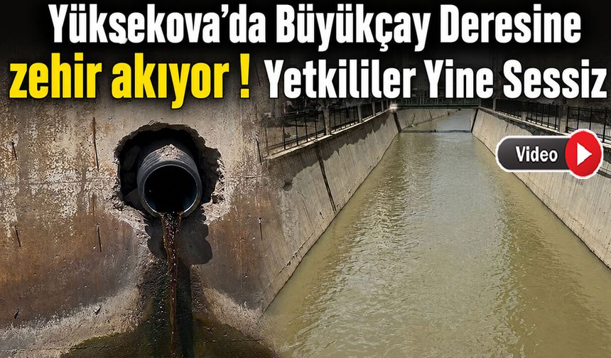 Yetkililer Sorumluluk Almıyor: Büyükçay Deresi’nde Balıklar Can Çekişiyor