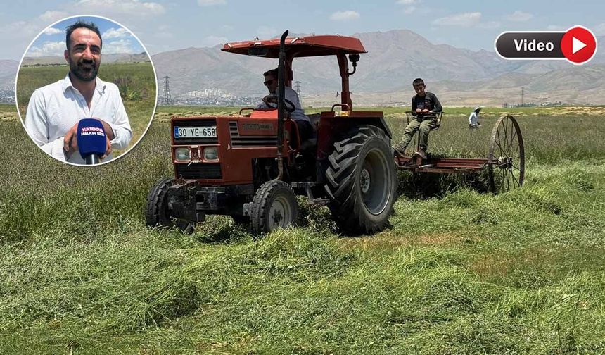 Yüksekova’da çiftçilerin kavurucu sıcakta ot toplama mesaisi sürüyor