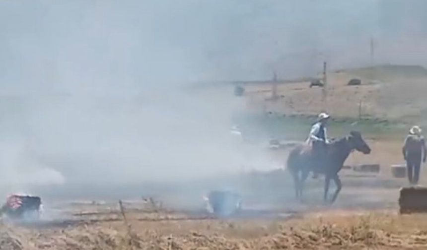 Yüksekova’da Bin Balya Ot Yangında Kül Oldu