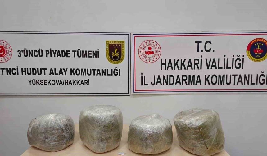 Yüksekova’da 11 kilo skunk ele geçirildi