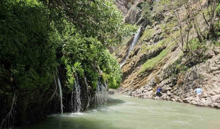 Sıcakların artmasıyla Hakkari Kaval Şelalesi’nde yoğunluk yaşanıyor