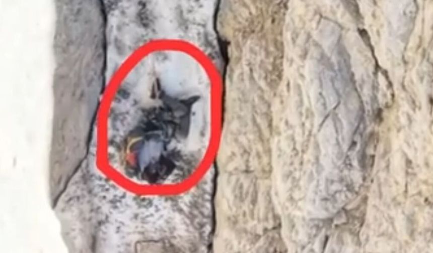 Cilo Dağın’nda Hayatını Kaybeden Dağcının Düştüğü Nokta Görüntülendi