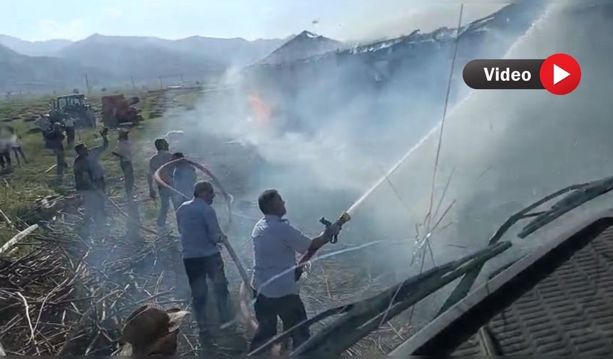 Yüksekova’da çıkan yangında ahır küle döndü: Çiftçi yardım bekliyor
