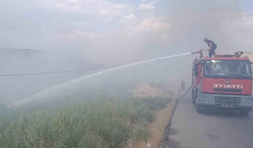 Siirt Üniversitesi Kezer yerleşkesi yakınlarında örtü yangını