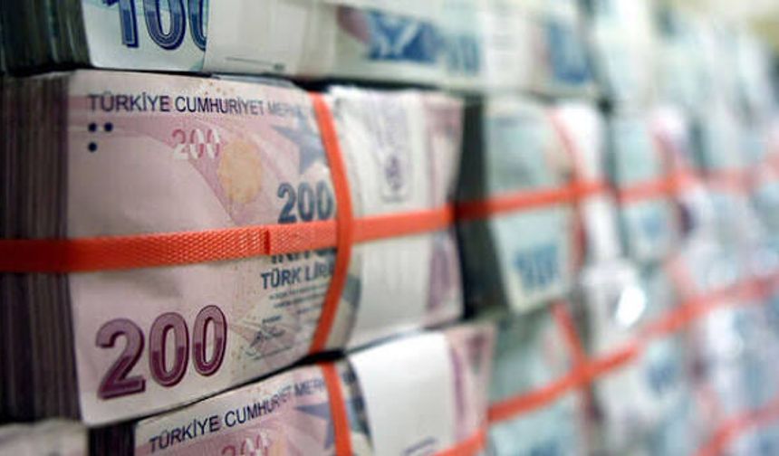Türkiye'nin vergi rekortmenleri açıklandı