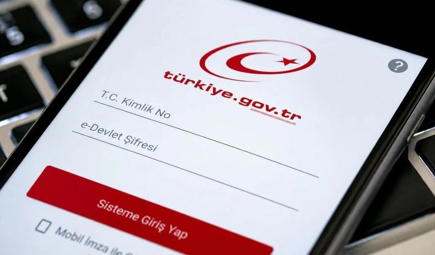 E-Devlet'ten bir hizmet daha! Milyonlar aynı ekrana akın ediyor