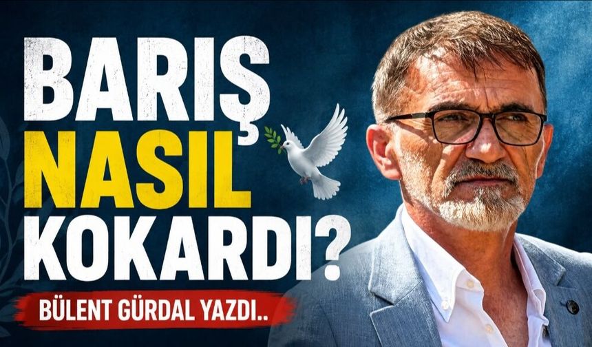 BARIŞ NASIL KOKARDI?
