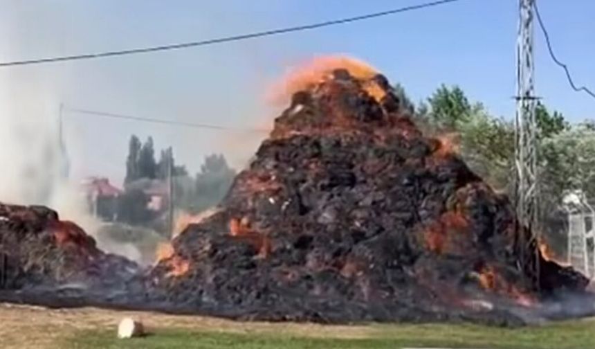 Yüksekova’da Ot Yangını: 6 Bin 500 Bağ Ot Kül Oldu