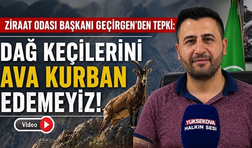 Başkanı Geçirgen’den dağ keçisi ihalesine tepki: “Doğamızın simgelerini ava kurban edemeyiz”