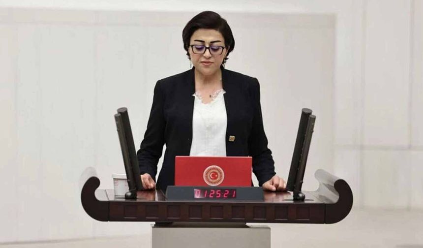 Milletvekili  Bartın, Hakkâri'deki Maden Çalışmalarını Meclis'e Taşıdı
