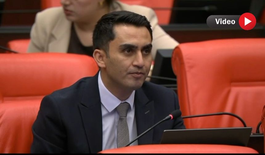 Hakkâri Milletvekili Parlak’tan dağ keçisi ihalesine tepki: Av partilerini durdurun!