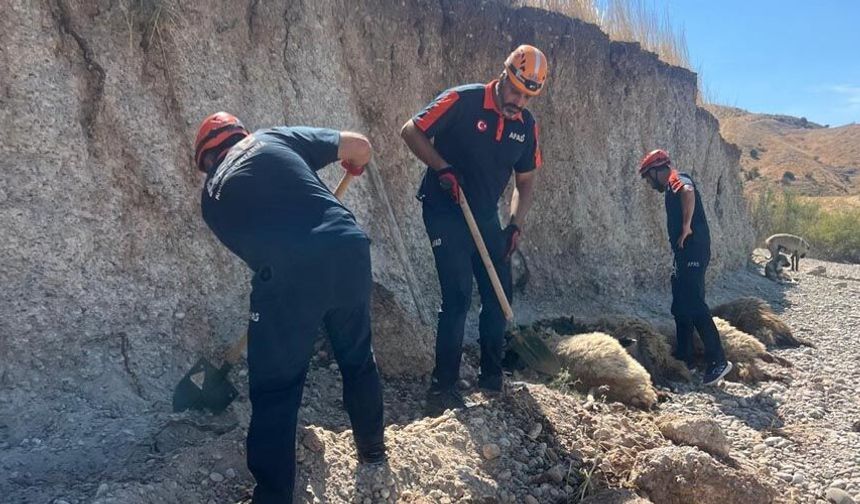 Toprak kaymasında 6 küçükbaş hayvan telef oldu