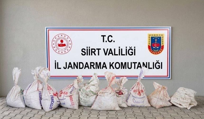 Siirt’te 300 kilo fıstık çalan hırsızlar fabrikada suçüstü yakalandı