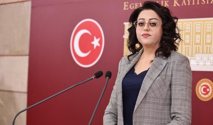 Hakkari'nin sorunları meclis gündeminde: İşsizlikten Madenlere, Güvenlikten Ormanlara..