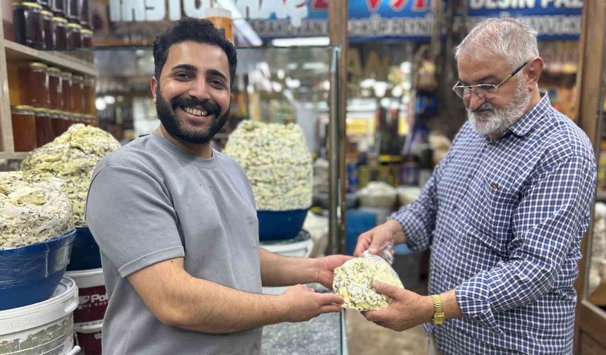 Van’ın meşhur otlu küp peyniri tezgâhlardaki yerini almaya başladı