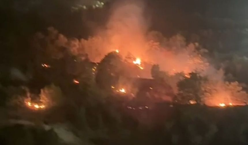 Yeşiltaş köyünde ağaçlık alanda yangın