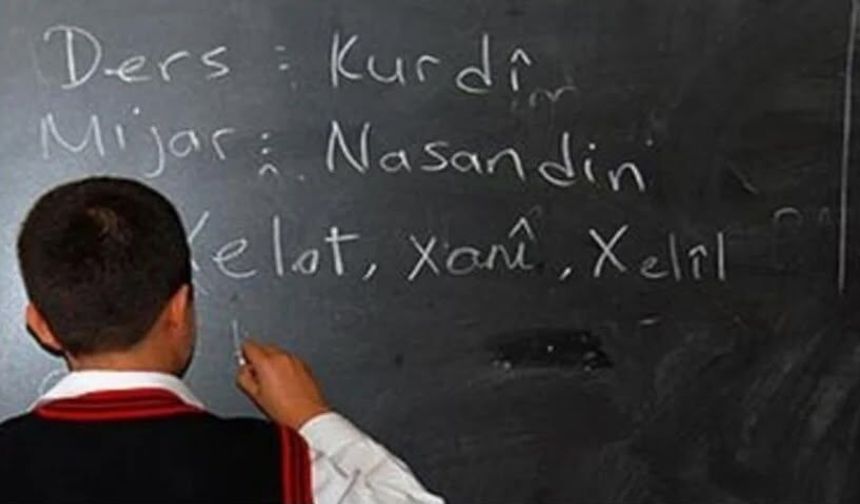 DEM Parti Hakkâri İl Örgütü, yeni eğitim yılı öncesi anadil çağrısı