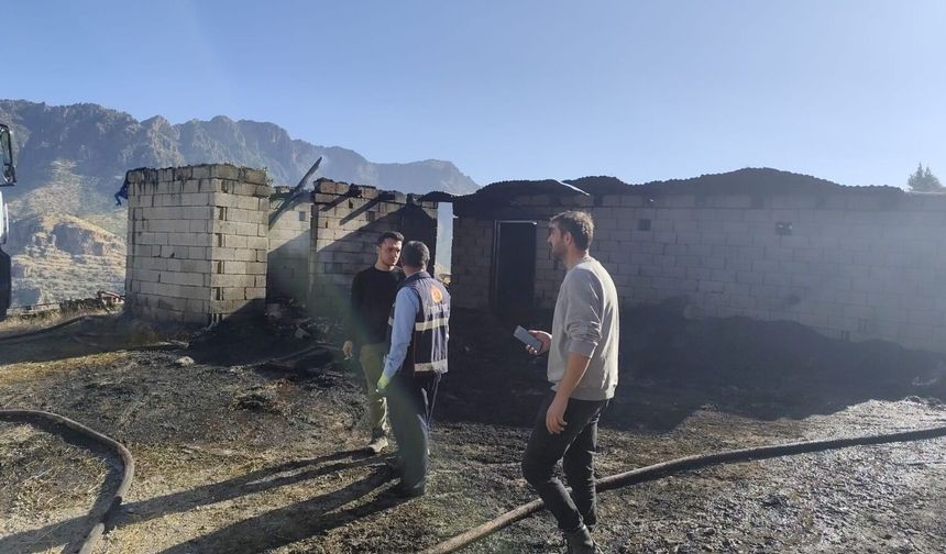 Hakkari’de yangında 3 ahır kül oldu, bir dana telef oldu