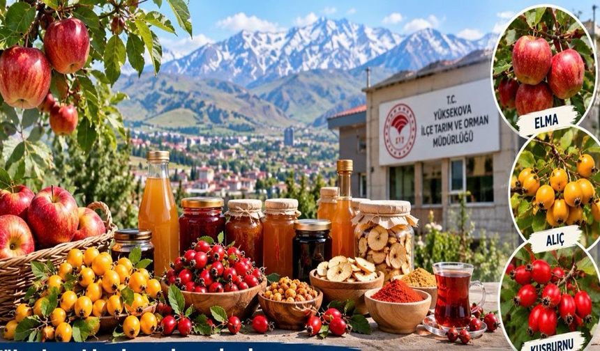 Yüksekova’nın doğal ürünleri ekonomiye kazandırılacak