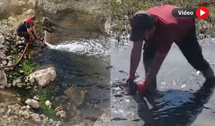 Yüksekova’da Kuruyan Derelere Müdahale: Balıklar Yeniden Suya Kavuştu