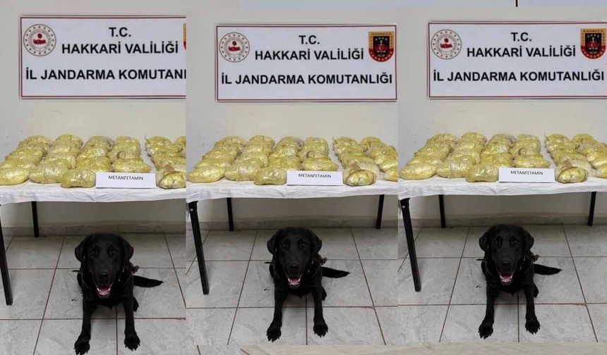 Hakkâri’de çok sayıda uyuşturucu madde ele geçirildi