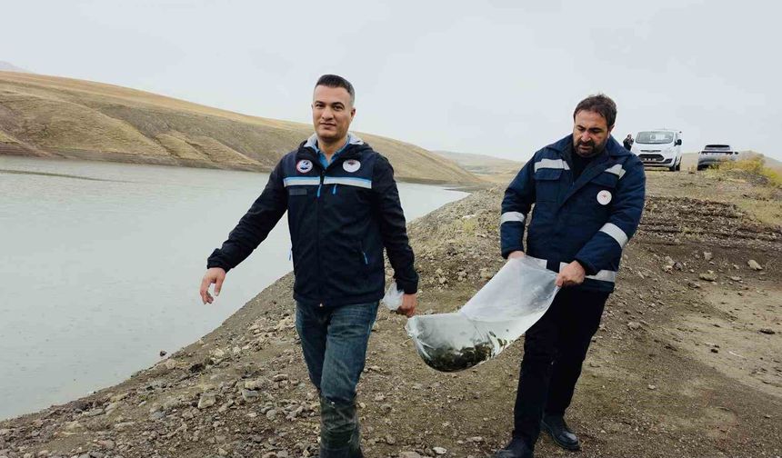 Van’ın su ürünleri sektöründen ekonomiye 25 milyon dolarlık katkı